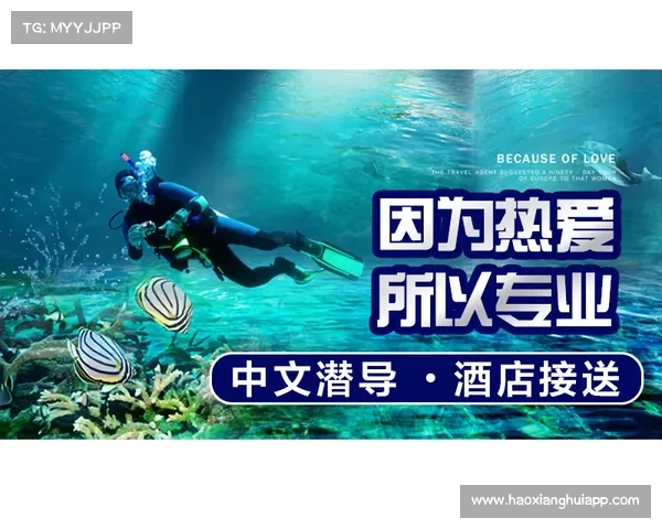 驾驭秘宝，启航神秘之旅